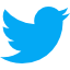twitter link icon